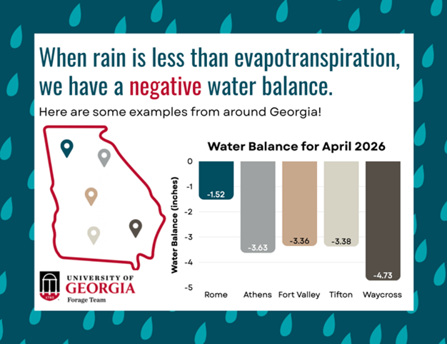 Infographic explaining negative water balance in Georgia forage systems. The title states, “When rain is less than evapotranspiration, we have a negative water balance.” A subtitle notes that examples are from around Georgia. On the left side, a map outline of Georgia includes location markers representing different regions. On the right side, a bar graph titled “Water Balance for April 2026” compares water balance values in inches for five locations: Rome (-1.52), Athens (-3.63), Fort Valley (-3.56), Tifton (-3.38), and Waycross (-4.73). All locations show negative water balance values below zero. The University of Georgia Forage Team logo appears in the lower left corner. The overall message emphasizes that many areas of Georgia are experiencing moisture deficits due to rainfall being lower than evapotranspiration.