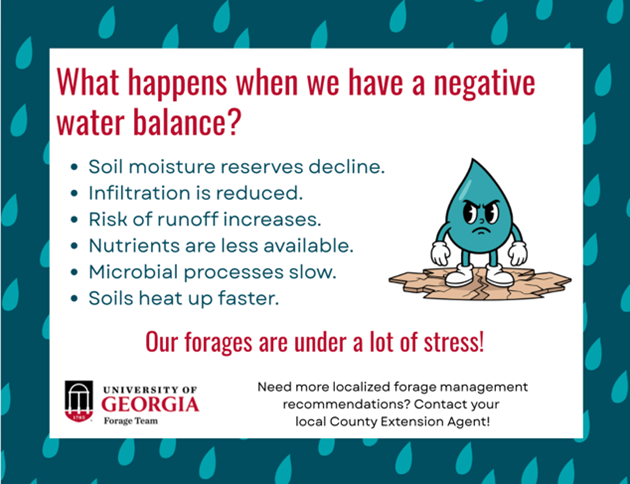 Infographic titled “What happens when we have a negative water balance?” on a blue background with raindrop graphics. The infographic lists the following impacts of negative water balance on forage systems: soil moisture reserves decline, infiltration is reduced, risk of runoff increases, nutrients are less available, microbial processes slow, and soils heat up faster. An illustration of a stressed cartoon water droplet standing on cracked soil appears on the right side. Red text at the bottom states, “Our forages are under a lot of stress!” The University of Georgia Forage Team logo appears in the lower left corner. Additional text encourages viewers to contact their local County Extension Agent for localized forage management recommendations.