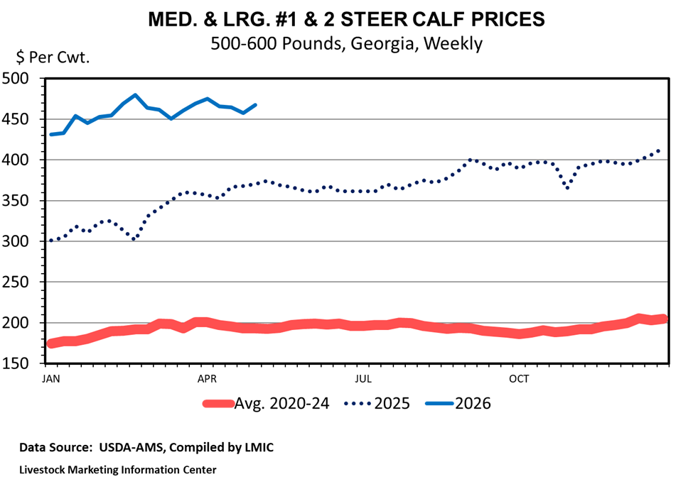 The present image shows seasonal variation in 500-600 lbs feeder calf prices in Georgia. Blue line shows historically high prices for 2026 compared with 2025 and 2020-2024 4-year average.