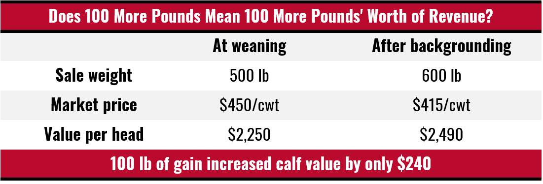 Table comparing the value of a 500-pound calf sold at weaning versus a 600-pound calf sold after backgrounding. A 500-pound calf selling for $450 per hundredweight is worth $2,250. A 600-pound calf selling for $415 per hundredweight is worth $2,490. Although the calf gained 100 pounds, its value increased by only $240 because the lower price per hundredweight applies to the entire 600-pound calf.